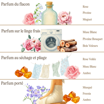 Pivoine Sauvage & Musc Blanc