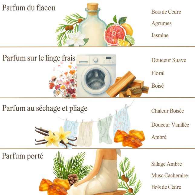 Ayurveda Ambre & Bois Sacré