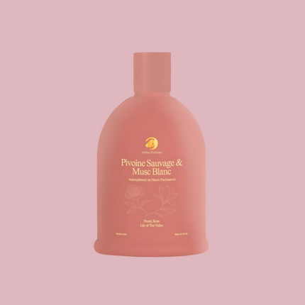 Collection image for: Archivio