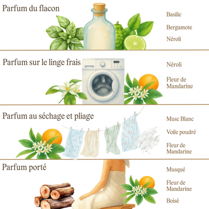 Néroli & Fleur de Mandarine
